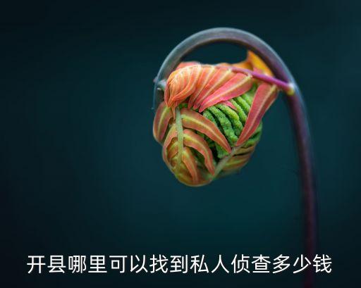 開(kāi)縣哪里可以找到私人偵查多少錢(qián)