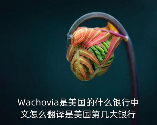 Wachovia是美國(guó)的什么銀行中文怎么翻譯是美國(guó)第幾大銀行