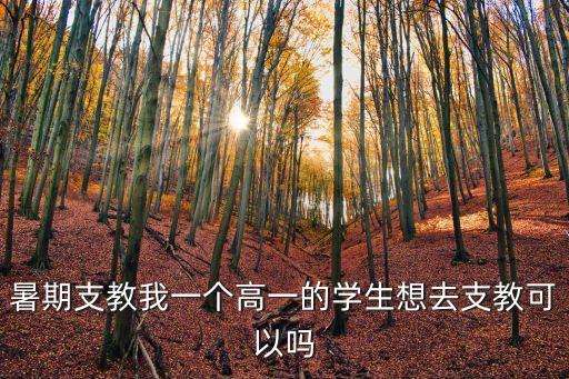 暑期支教，暑假我想去山區(qū)支教我是大一的大約是一個(gè)月吧有誰(shuí)能告訴我去