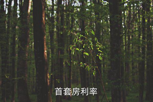首套利率，首套房利率