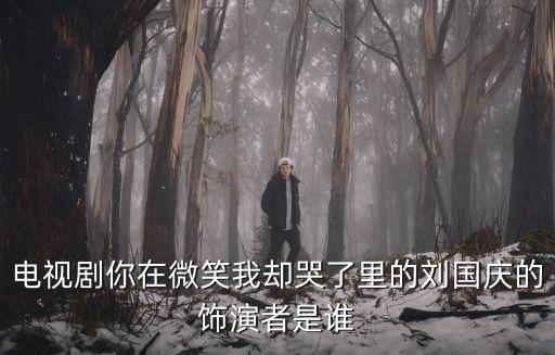 電視劇你在微笑我卻哭了里的劉國慶的飾演者是誰