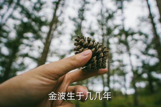 金波生于幾幾年