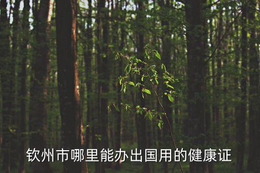 小黃本，大學(xué)實習(xí)日記小黃本丟了可以補辦嗎