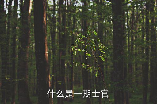 一期士官，什么是一期士官