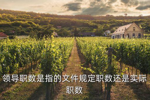領(lǐng)導(dǎo)職數(shù)是指的文件規(guī)定職數(shù)還是實(shí)際職數(shù)