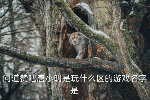 唐小明，唐小明和小紅是同班同學(xué)他們又同住在一幢樓里作文