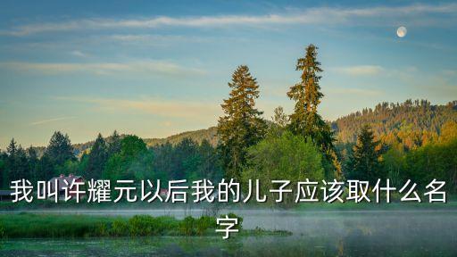 我叫許耀元以后我的兒子應該取什么名字