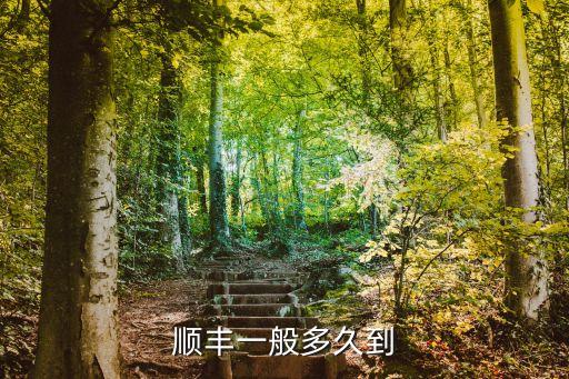 順豐一般多久到