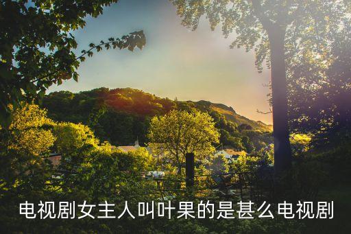 電視劇女主人叫葉果的是甚么電視劇