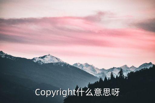copyright，Copyright名詞解釋是
