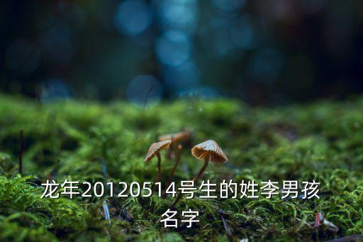 龍年20120514號(hào)生的姓李男孩名字