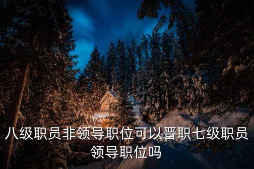 八級(jí)職員非領(lǐng)導(dǎo)職位可以晉職七級(jí)職員領(lǐng)導(dǎo)職位嗎