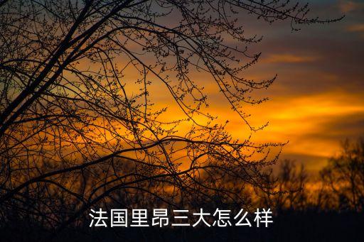 法國里昂三大怎么樣