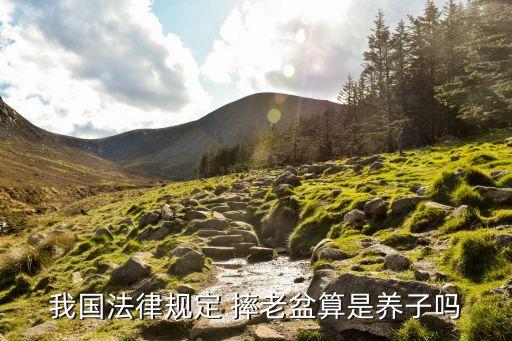 摔老盆，我國法律規(guī)定 摔老盆算是養(yǎng)子嗎