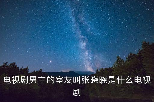 電視劇男主的室友叫張曉曉是什么電視劇