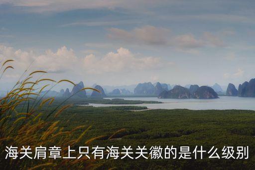 海關(guān)肩章上只有海關(guān)關(guān)徽的是什么級(jí)別