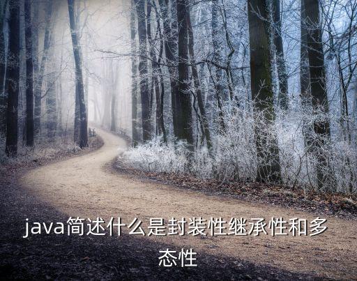 java簡(jiǎn)述什么是封裝性繼承性和多態(tài)性