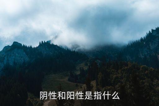 陰性和陽性是指什么