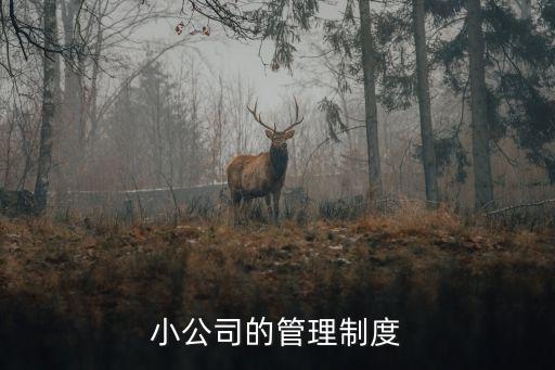 小公司管理規(guī)章制度，小公司的管理制度