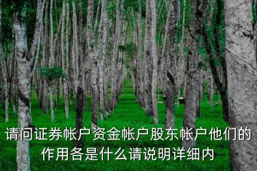 請(qǐng)問(wèn)證券帳戶資金帳戶股東帳戶他們的作用各是什么請(qǐng)說(shuō)明詳細(xì)內(nèi)
