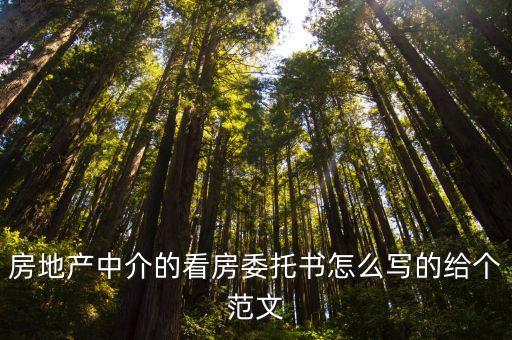 驗房委托書，房地產(chǎn)中介的看房委托書怎么寫的給個范文