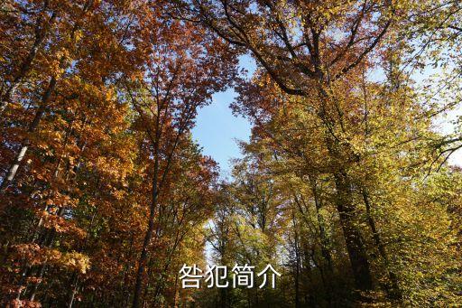 虞犯，刑法中初犯和偶犯是什么意思