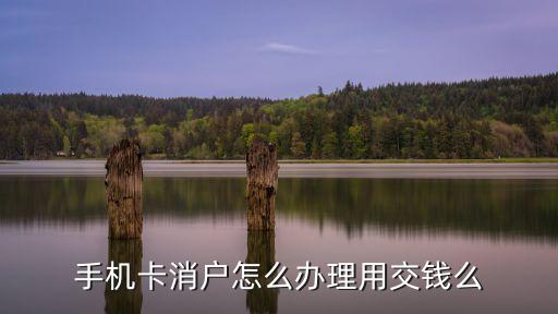 手機卡消戶怎么辦理用交錢么
