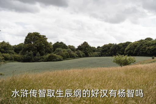 楊智，水滸傳智取生辰綱的好漢有楊智嗎