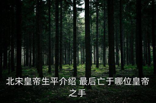 于國(guó)君，北宋皇帝生平介紹 最后亡于哪位皇帝之手