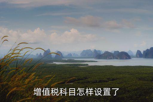 增值稅科目設(shè)置，增值稅科目下一般設(shè)有哪些子科目