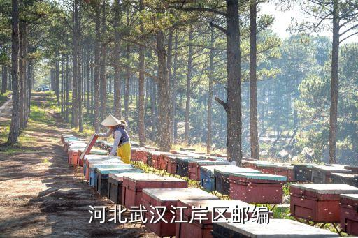 江岸，武漢江岸區(qū)在漢口還是武昌