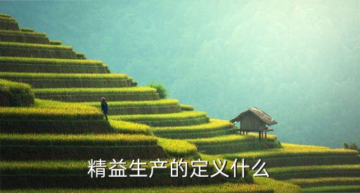 精細生產，精益生產的定義什么