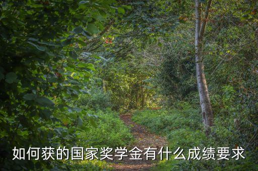 如何獲的國(guó)家獎(jiǎng)學(xué)金有什么成績(jī)要求