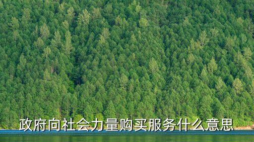 政府購買服務(wù)，您好我想請問什么是政府購買服務(wù)人員它屬于編制嗎它會簽約嗎