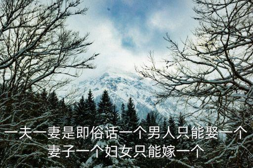 一夫一妻是即俗話一個(gè)男人只能娶一個(gè)妻子一個(gè)婦女只能嫁一個(gè)