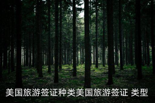 美國旅游簽證種類美國旅游簽證 類型