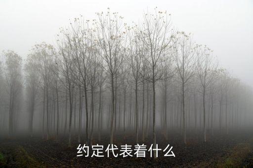 約定的意思，約定是什么意思