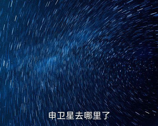 申衛(wèi)星去哪里了