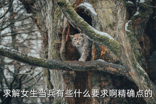求解女生當兵有些什么要求啊精確點的