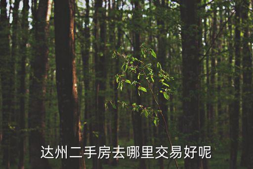 達(dá)州二手房去哪里交易好呢
