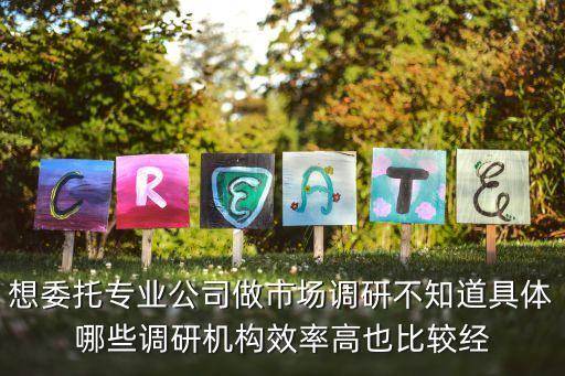 想委托專業(yè)公司做市場調(diào)研不知道具體哪些調(diào)研機構(gòu)效率高也比較經(jīng)