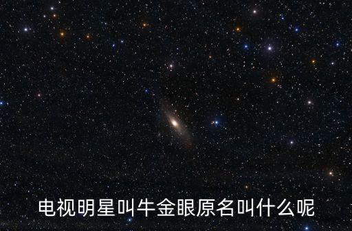 電視明星叫牛金眼原名叫什么呢