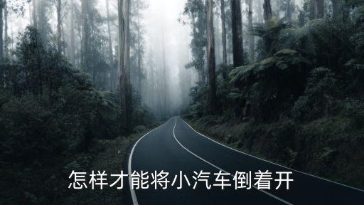 倒開(kāi)車，怎樣才能將小汽車倒著開(kāi)