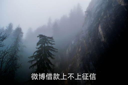 微博借款上不上征信