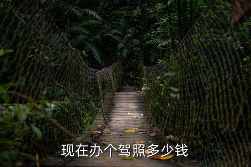 現(xiàn)在辦個(gè)駕照多少錢