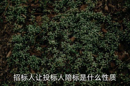 招標(biāo)人讓投標(biāo)人陪標(biāo)是什么性質(zhì)