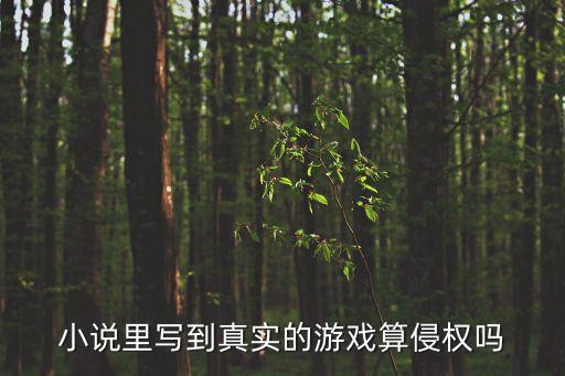 侵犯游戲，小說里寫到真實的游戲算侵權嗎