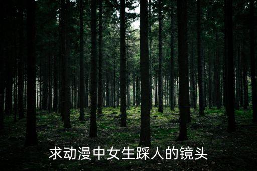 白絲踩臉，哪部動漫里有女生踩臉的鏡頭
