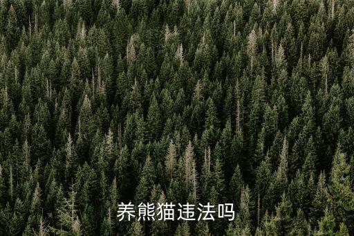 養(yǎng)熊貓犯法嗎，出1個熊貓自己帶回家偷偷的飼養(yǎng)犯法么