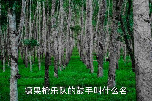 糖果槍樂隊的鼓手叫什么名